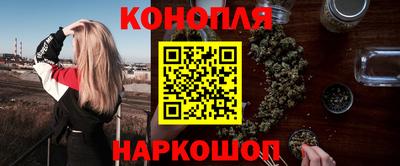 прущие крисы Кингисепп