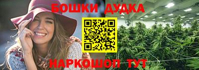 прущие крисы Кингисепп