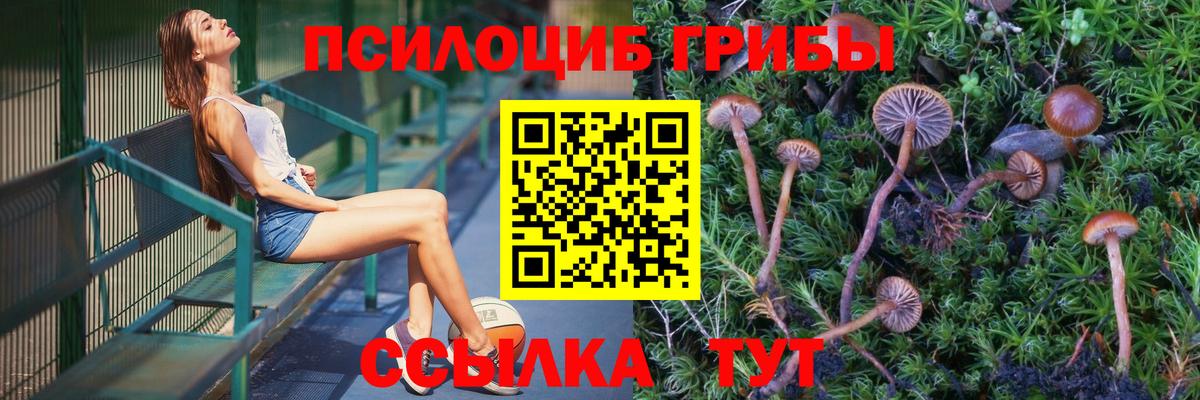 Курчалой  Галлюциногенные грибы GOLDEN TEACHER  Вход с VPN  Псилоцибиновые грибы мухоморы 